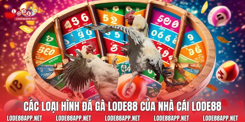 Các loại hình đá gà Lode88 của nhà cái Lode88